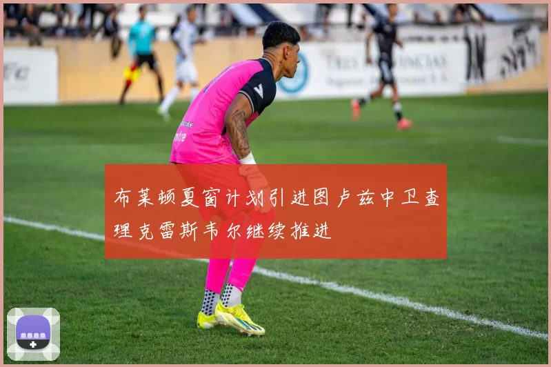 布莱顿夏窗计划引进图卢兹中卫查理克雷斯韦尔继续推进