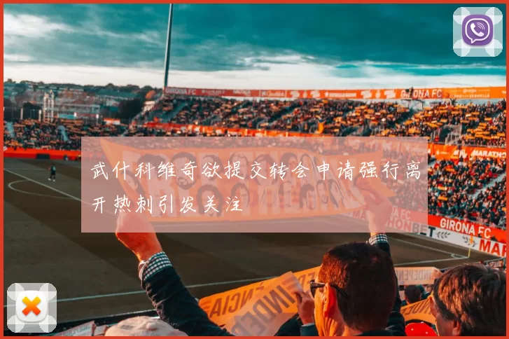 武什科维奇欲提交转会申请强行离开热刺引发关注