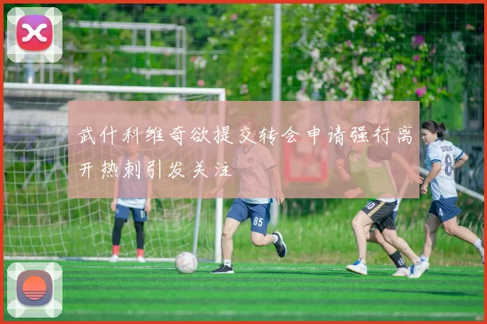 武什科维奇欲提交转会申请强行离开热刺引发关注