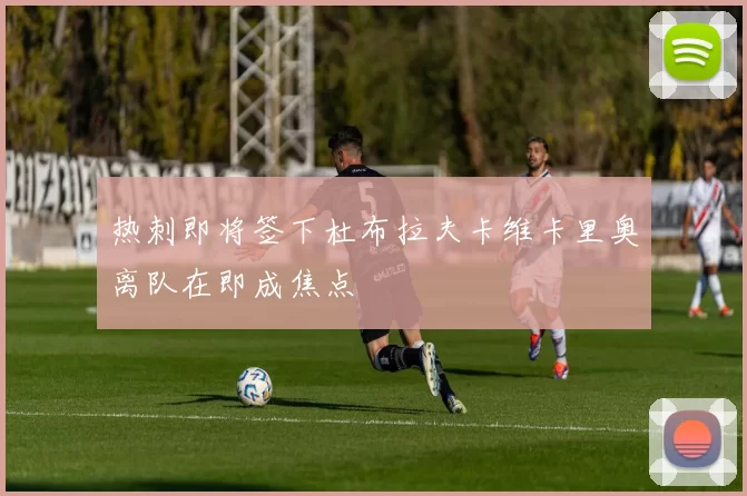 热刺即将签下杜布拉夫卡维卡里奥离队在即成焦点